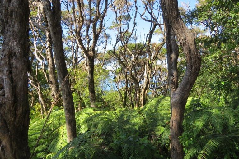 Photo of property in 537d Tuateawa Road, Tuateawa, Coromandel, 3583