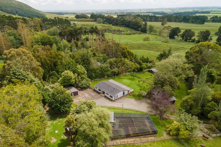 Photo of property in 390 Scotts Road, Linton, Palmerston North, 4472