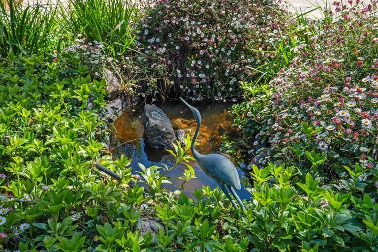 Photo of property in 50 Church Street, Rangiora, 7400