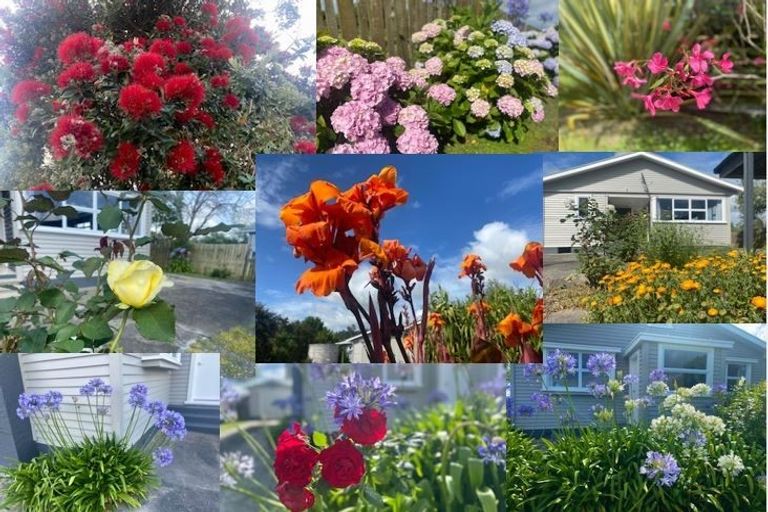 Photo of property in 76 Jellicoe Road, Ruawai, 0530