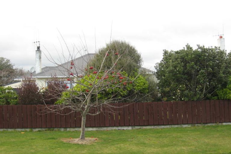 Photo of property in 9 Clark Street, Levin, 5510