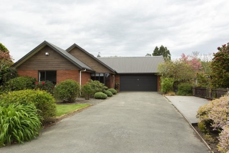 Photo of property in 25 Carters Terrace, Tinwald, Ashburton, 7700