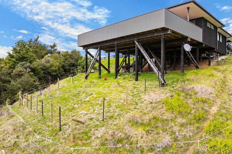 Photo of property in 827 Tinopai Road, Tinopai, Matakohe, 0593