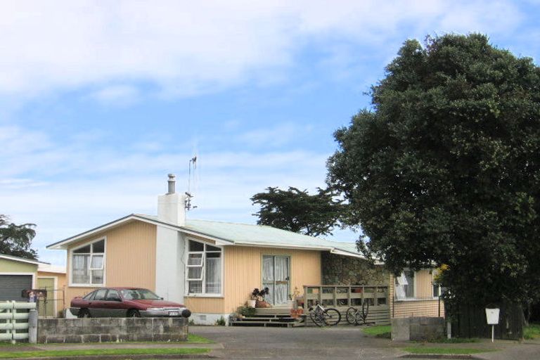 Photo of property in 3 Drake Street, Levin, 5510