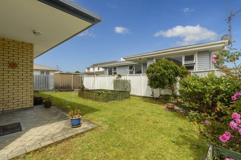 Photo of property in 19a Hayes Avenue, Gate Pa, Tauranga, 3112