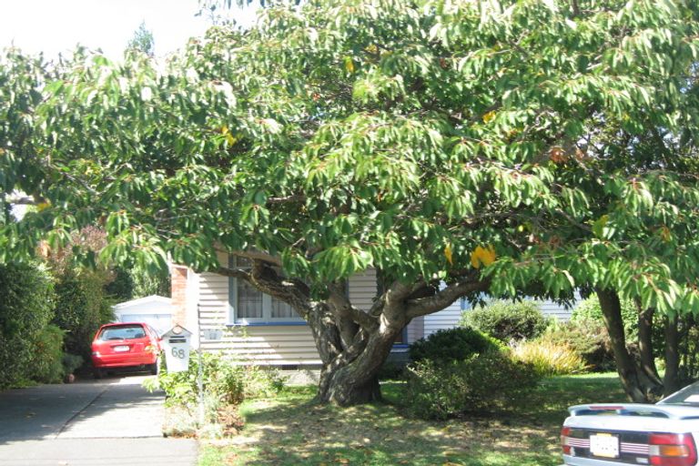 Photo of property in 68 Mcbeath Avenue, Hoon Hay, Christchurch, 8025