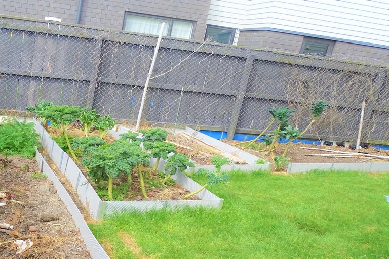 Photo of property in 9 Hirimate Place, Flat Bush, Auckland, 2019