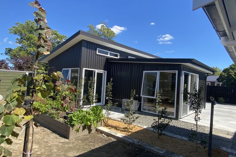 Photo of property in 41 Queenwood Avenue, Queenwood, Hamilton, 3210