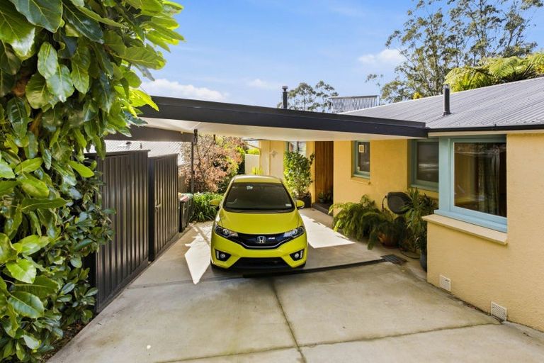 Photo of property in 52 Irvine Road, The Cove, Dunedin, 9077