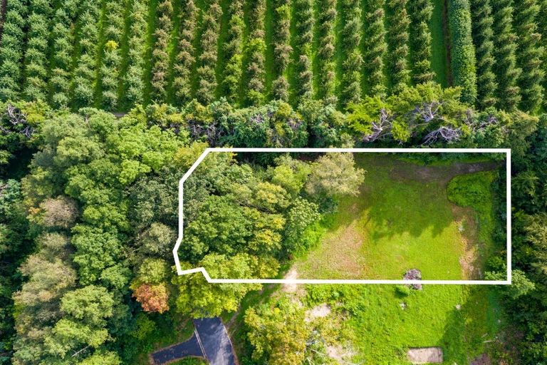 Photo of property in 16 Woodlands Way, Greytown, 5712