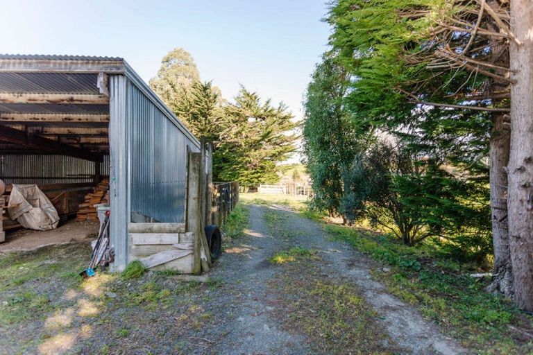 Photo of property in 241 Adelaide Road, Dannevirke, 4930