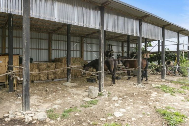 Photo of property in 800 Mount Cargill Road, Mount Cargill, Waitati, 9085