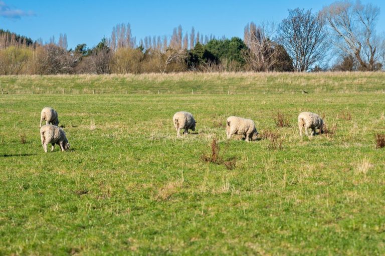 Photo of property in 33 Franks Place, Outram, 9019