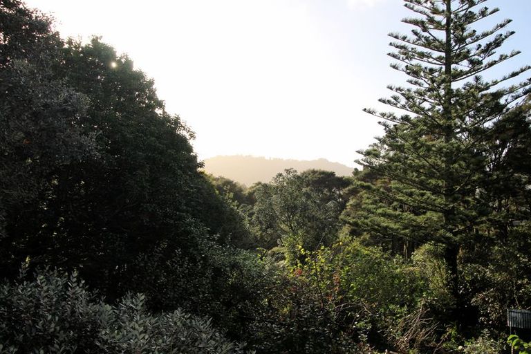 Photo of property in 42 Minnehaha Avenue, Titirangi, Auckland, 0604