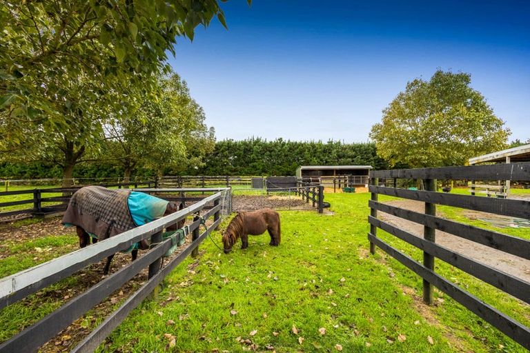 Photo of property in 2122 Wards Road, Charing Cross, Darfield, 7571