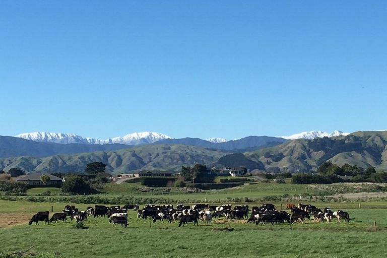 Photo of property in 26 Kitchener Street, Te Horo Beach, Otaki, 5581