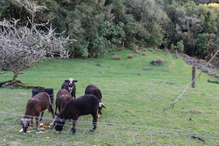 Photo of property in 7 Sturgess Terrace, Te Kuiti, 3910