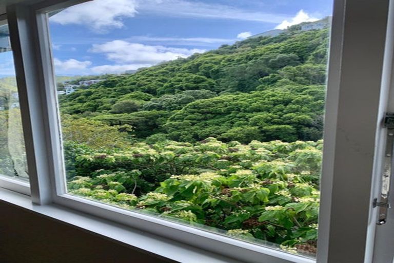 Photo of property in 36 Norway Street, Aro Valley, Wellington, 6012