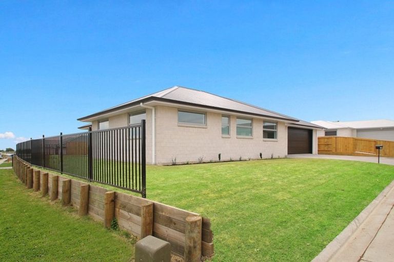 Photo of property in 70 Tynan Street, Te Puke, 3119