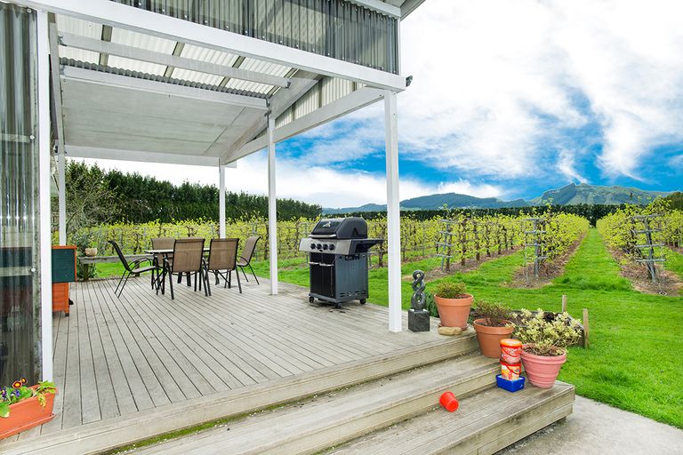 Photo of property in 290 Tucker Road, Makauri, Gisborne, 4071