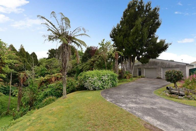 Photo of property in 123 Clarkin Road, Fairfield, Hamilton, 3214