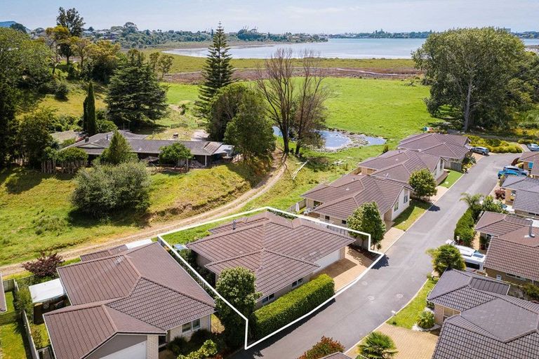 Photo of property in 7 Barossa Way, Brookfield, Tauranga, 3110