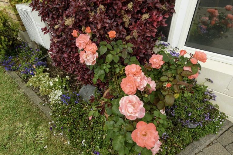 Photo of property in 10/492 Otumoetai Road, Otumoetai, Tauranga, 3110