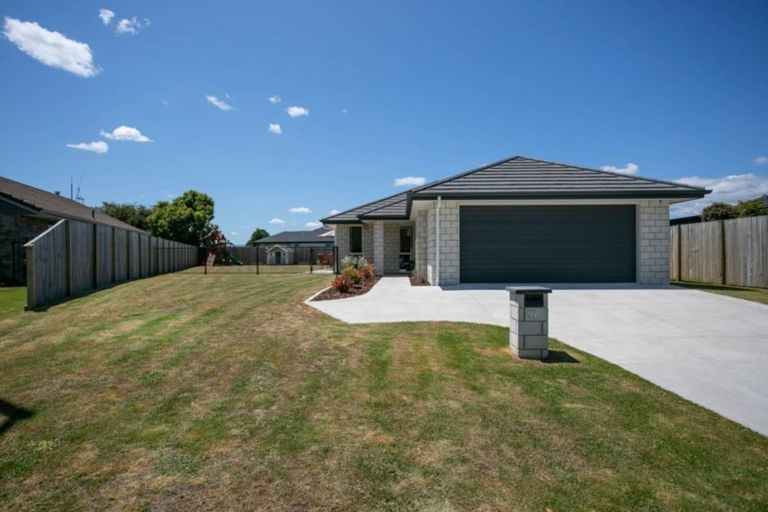 Photo of property in 97 Findlater Street, Matamata, 3400