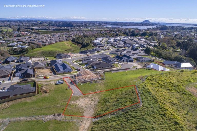 Photo of property in 42 Pinkerton Place, Ohauiti, Tauranga, 3112