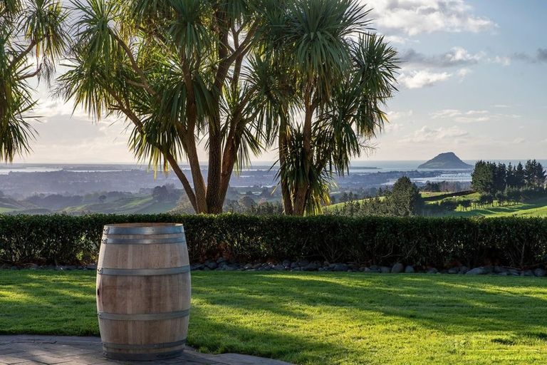 Photo of property in 1004 Upper Ohauiti Road, Ohauiti, Tauranga, 3173