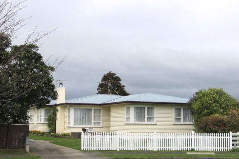 Photo of property in 4 Drake Street, Levin, 5510