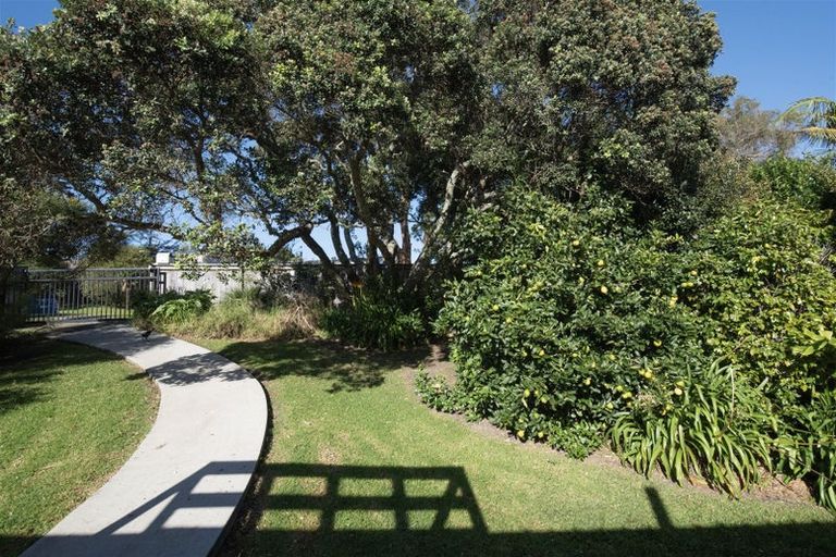 Photo of property in 17 Holt Avenue, Torbay, Auckland, 0630