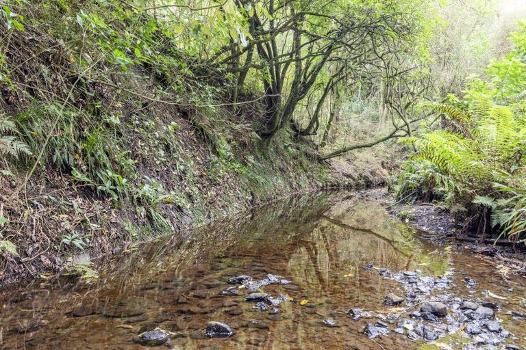 Photo of property in 137 Kiritaki Road, Dannevirke, 4972