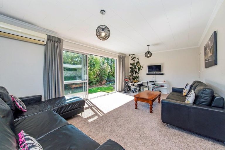 Photo of property in 19 Cunningham Street, Leeston, 7632