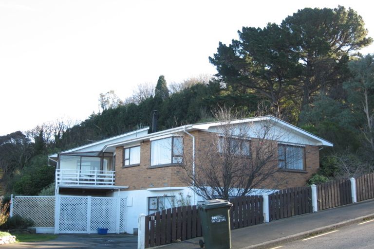 Photo of property in 11 Wanaka Street, Ravensbourne, Dunedin, 9022
