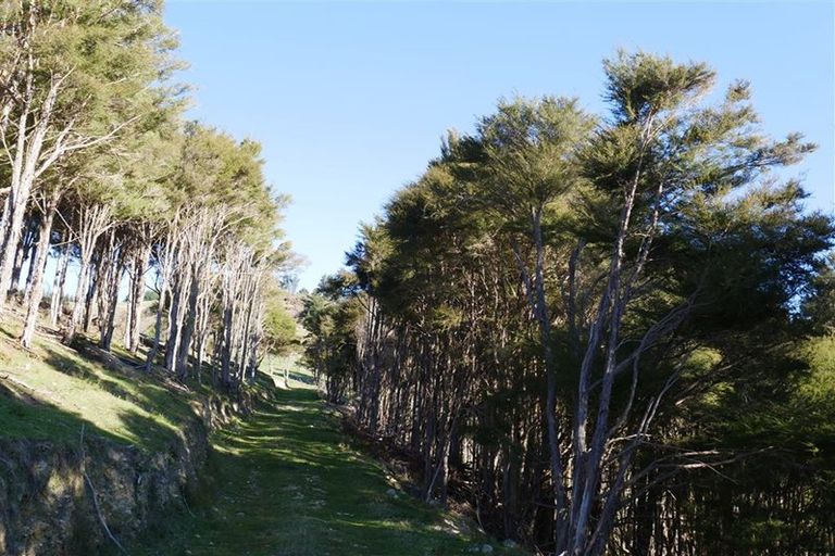 Photo of property in 497 Tadmor Valley Road, Tapawera, Wakefield, 7096