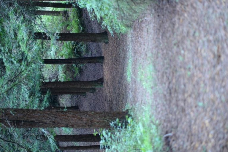 Photo of property in 5 Sarona Park Drive, Omanawa, Tauranga, 3171