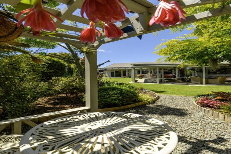 Photo of property in 51 Orange Lane, Bethlehem, Tauranga, 3110