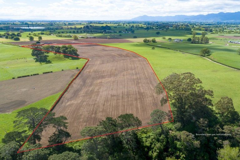 Photo of property in 34 Taihoa Road North, Matamata, 3473