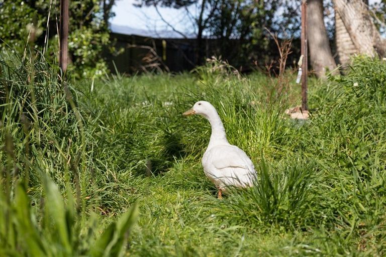 Photo of property in 899 State Highway 1, Te Horo, Otaki, 5581