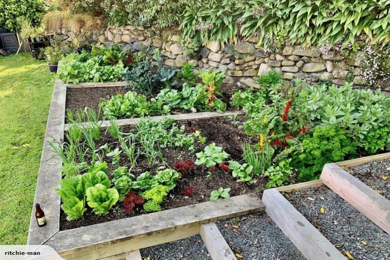 Photo of property in 11 Spottiswoode Street, Andersons Bay, Dunedin, 9013