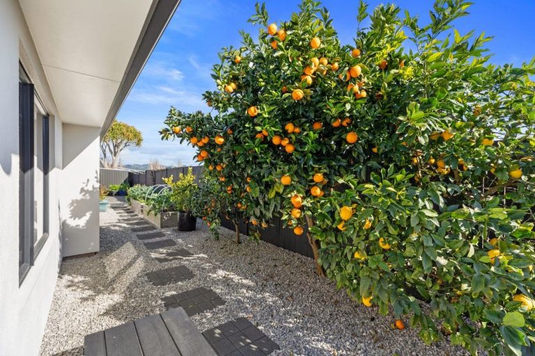 Photo of property in 134 Palm Beach Boulevard, Papamoa Beach, Papamoa, 3118