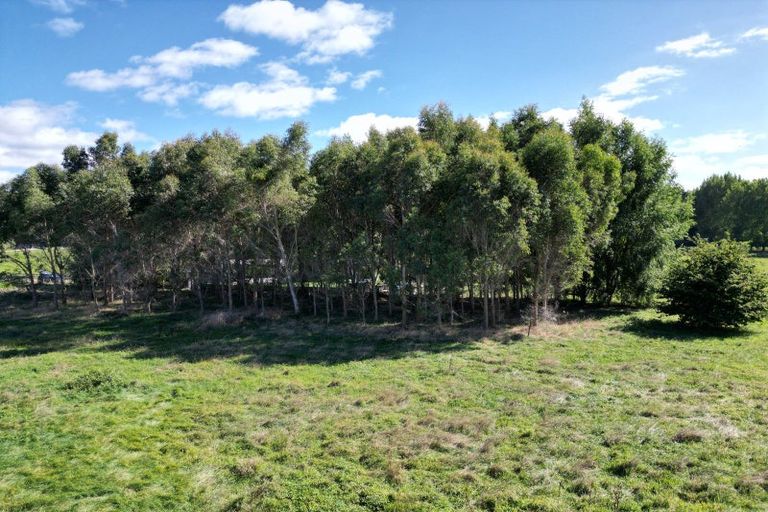 Photo of property in 50 Delhi Avenue, Aramoho, Whanganui, 4500