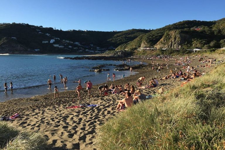 Photo of property in 27 View Road, Houghton Bay, Wellington, 6023