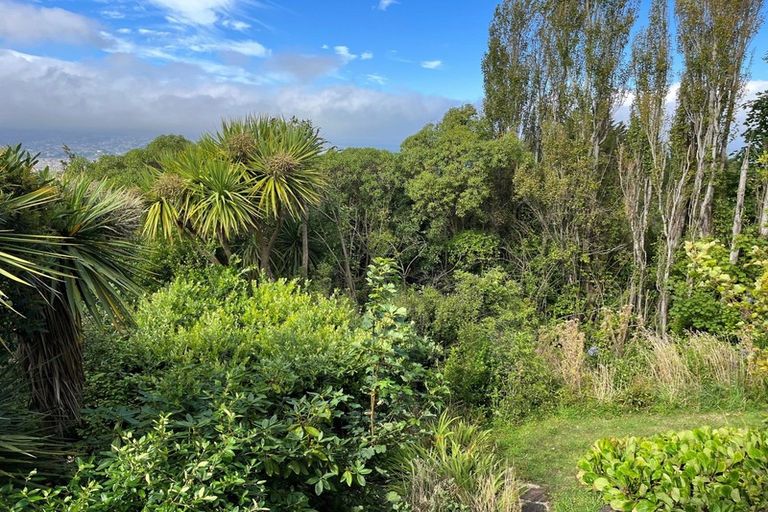 Photo of property in 54b Earls Road, Saint Clair, Dunedin, 9012