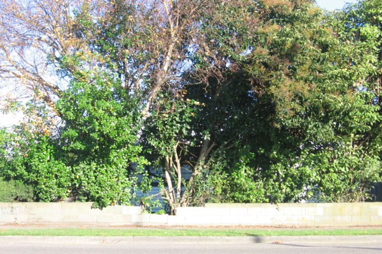 Photo of property in 246 Botanical Road, Takaro, Palmerston North, 4412