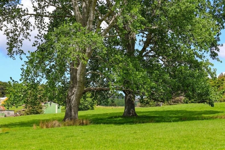 Photo of property in 299 Haruru Road, Kaukapakapa, 0873