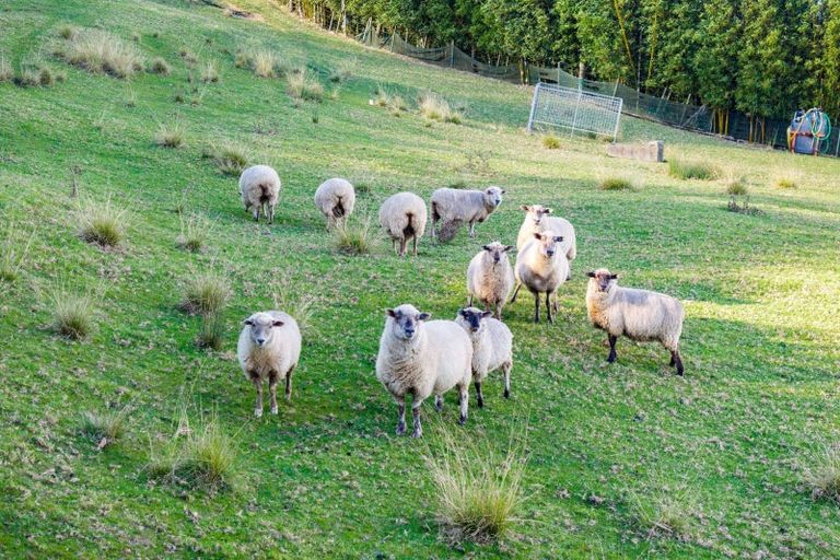 Photo of property in 217a Lawrence Road, Mangawhai, 0573