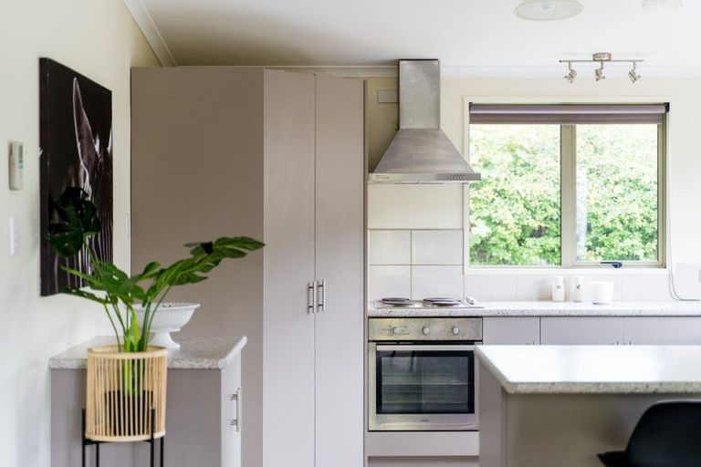 Photo of property in 19 Afton Terrace, North East Valley, Dunedin, 9010