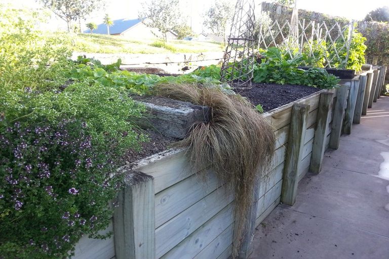 Photo of property in 11 Pointon Glade, Grandview Heights, Hamilton, 3200